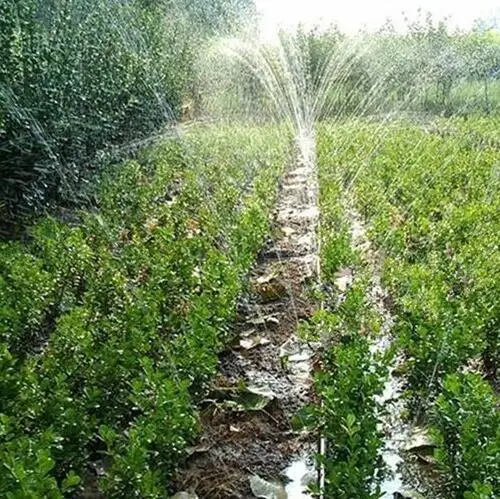 Garden Water Plastic Material drip irrigation hose Micro Spray agriculture PE Tape