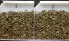 big round rolled Chinese green tea for Central Asia Uzbekistan