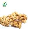 2019 Fresh ginger export for sale price in China/ ginger processing plant