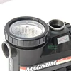 Made in China Factory Price Electric Pump Clean Water Circulator Pump Swimming Pool Equipment for Sale