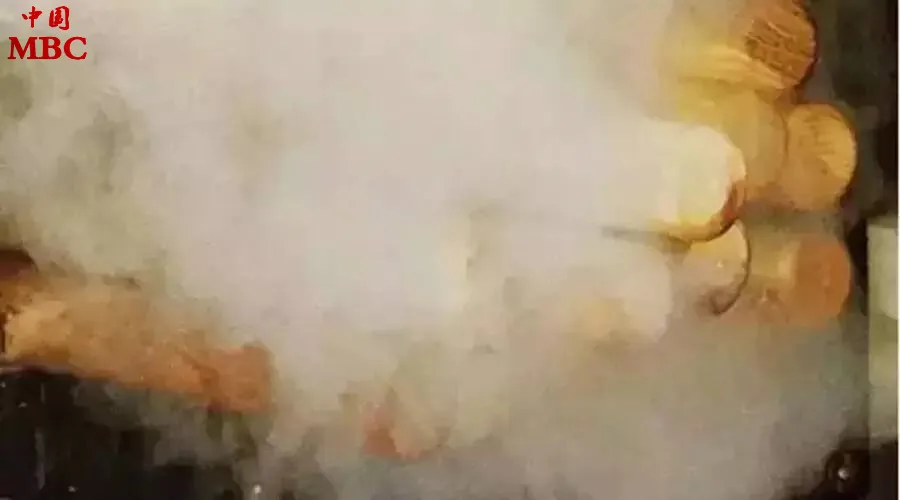 wood autoclave equipment.jpg