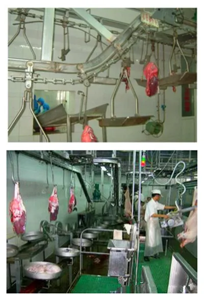 Pig slaughtering equipment sow slaughtering machine seeding slaughterhouse
