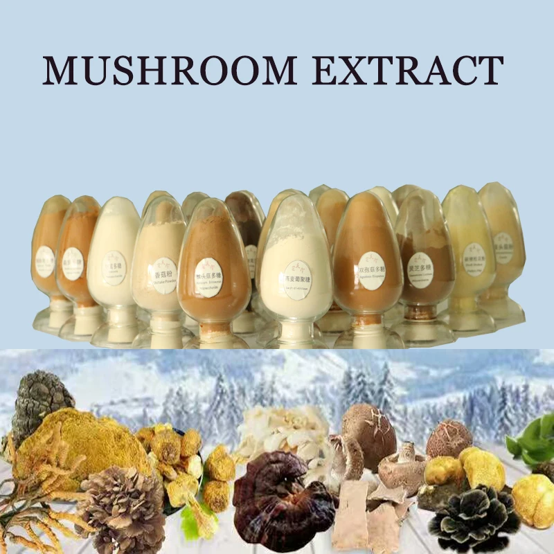 mushroom-extracts-2