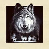 Wolf and Dog Animal Decorative Paintings 3D Image Interior Decorative Paintings Support Customization of Animal Images