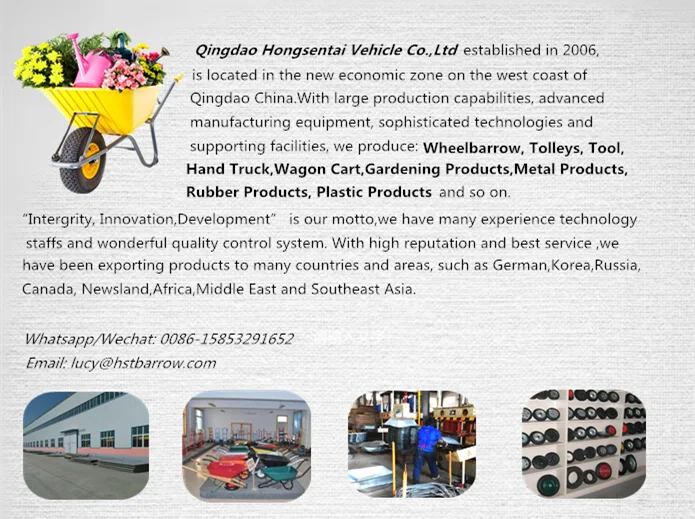 company informations.png