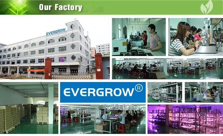 Our Factory