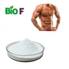 High Quality Factory Supply Muscle Enhancing Optimum Nutrition Creatine