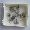 2d 3d 4d 5d 6d long stem/short stem heat bonded 0.07mm 0.10mm grouped volume lashes