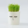 Personality society people wheat planting house toys cartoon expression potted animation surrounding DIYcustom gifts