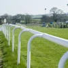 Fentech Fence Factory Supply, High Quality Horse Racing Rail, PVC horse track fencing