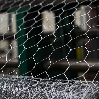 Galvanized Poultry Wire 12 Hex Mesh Chicken Wire Mesh Sculpture Buy Wire Mesh Sculpturechicken Wire Meshchicken Wire Product On Alibabacom