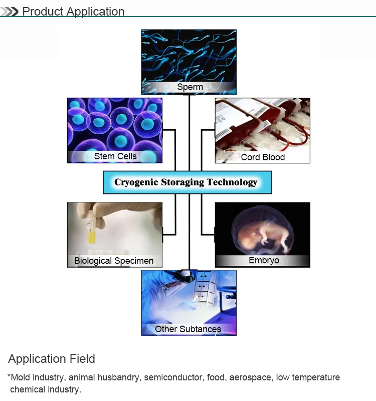 Assured Products Effective Volume 100L Industri Liquid Nitrogen Tank Price