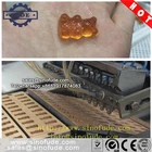 Automatic Vitamin gummy bear making machine / gummy candy production line