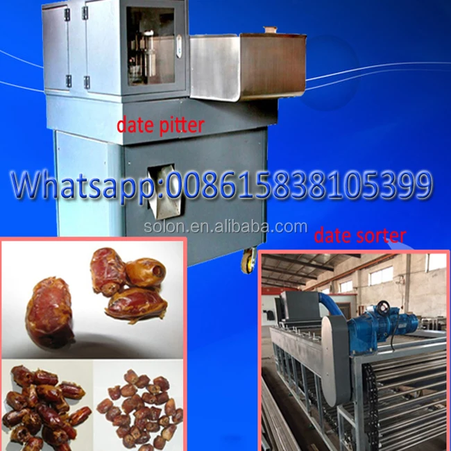Dates pitting machine