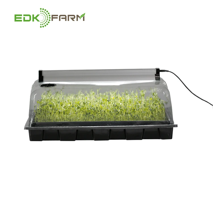 

trays microgreens waterproof growbox germination aquaponics systems nursery plastic microgreen bonsai plant growing kit, Black and white