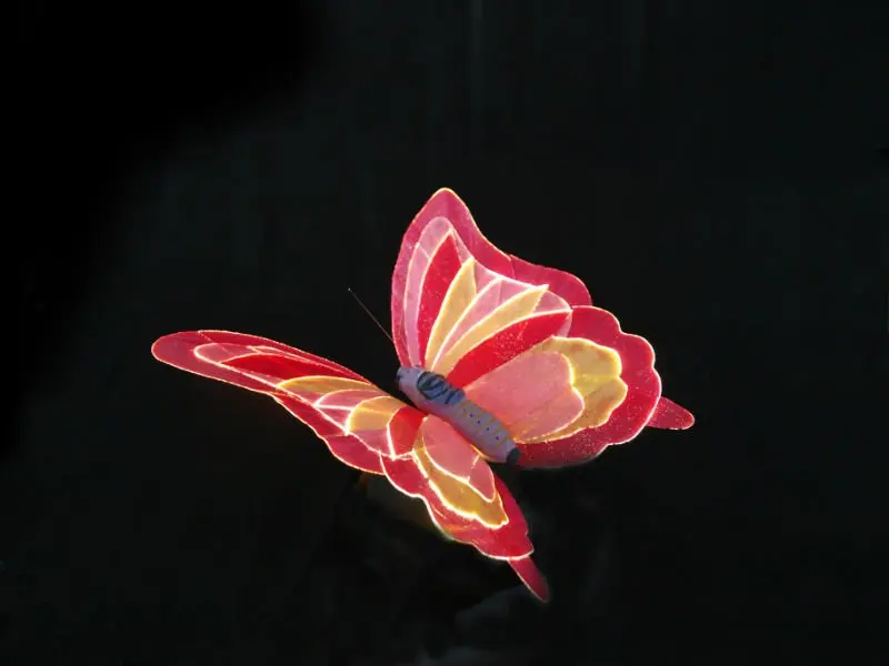 Butterfly fiber optic light(TS-C029-1)