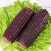 Twin packed black glutinous corn in vacuum package