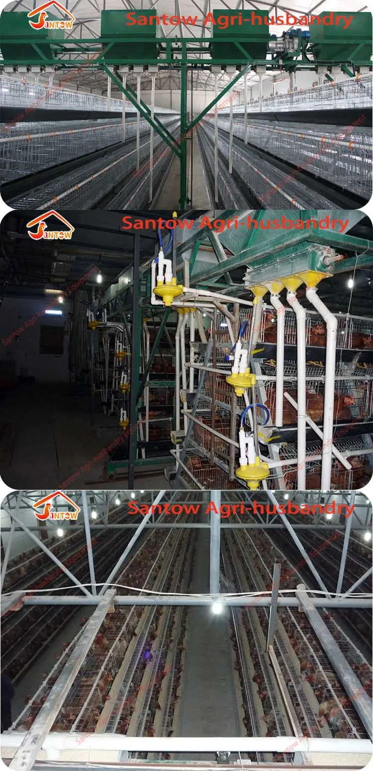 Hot Galvanized Chicken Poultry Cages Cold Galvanized Chicken Layer Cage Best Quality For Sale Nigeria Africa