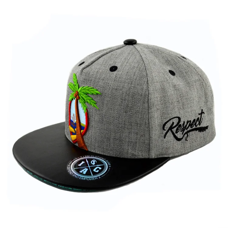 

New Design Stickers Custom Snapback Hat with 3D Embroidery