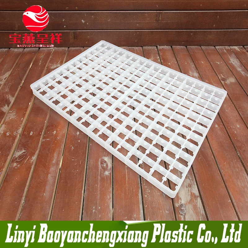 221cells plastic HDPE quail egg tray for wholesale .jpg