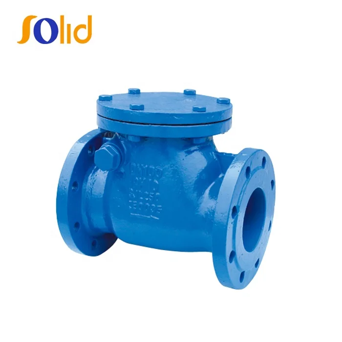 Hot Selling Ductile Iron Cast Iron Flanged Swing Check Valve