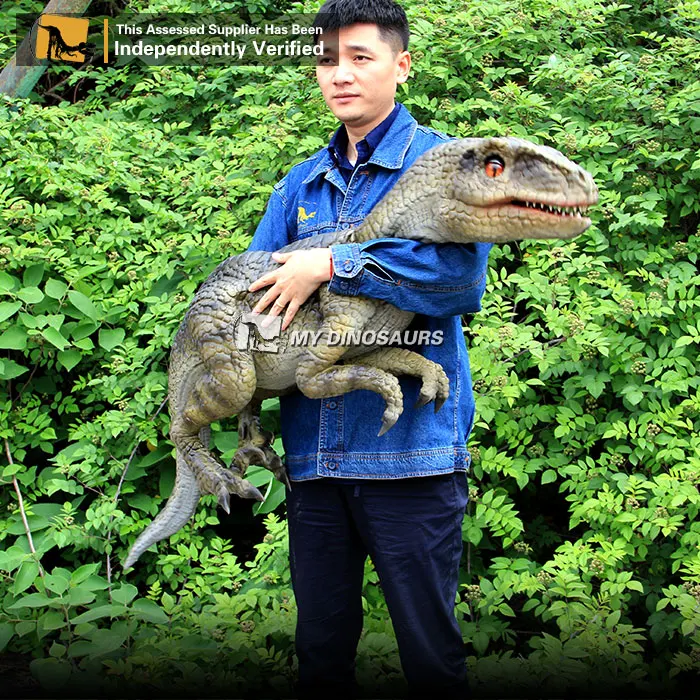 

My Dino Animatronic Velociraptor Hand Puppet for Sale, Customized or we give suggestions