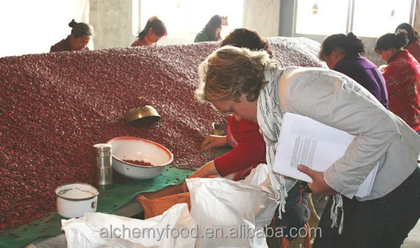 British red kidney beans 3.jpg