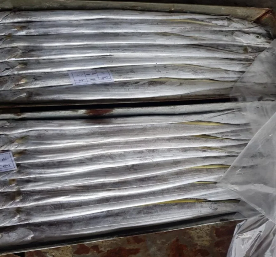 Frozen Ribbon Fish Wholesale Bulk Maw Food Indian Ribbon Mackerel Fish