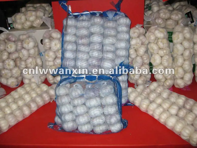 mesh bag.jpg