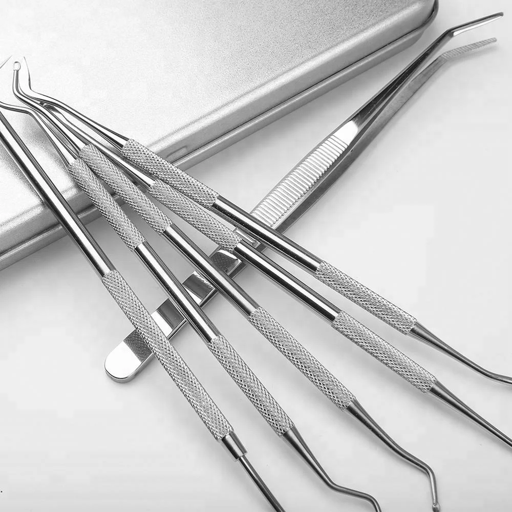 Hot Sales 6pcs Dental Hygiene Tool Kit For Home Use Buy Dental