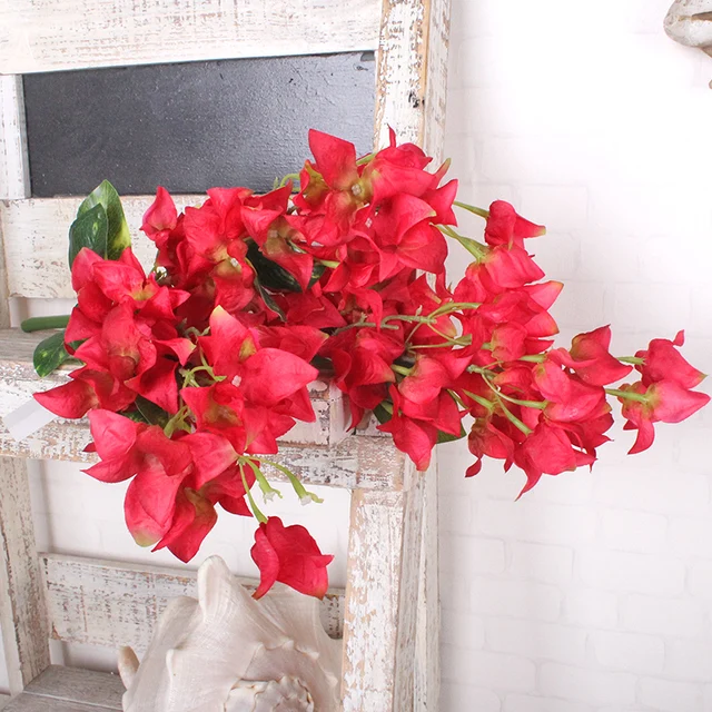 natural fresh plum flower colorful for weddings