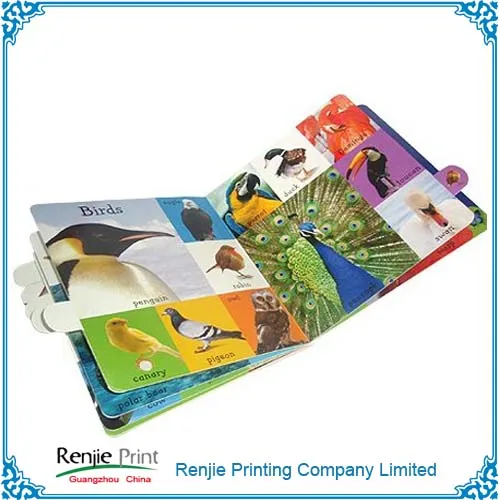 
Hard Board Book/Photo Book/English Book for Beginner 