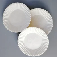 

paper plate disposable cheap bulk dinner plates design your own paper plates paper dishes for party