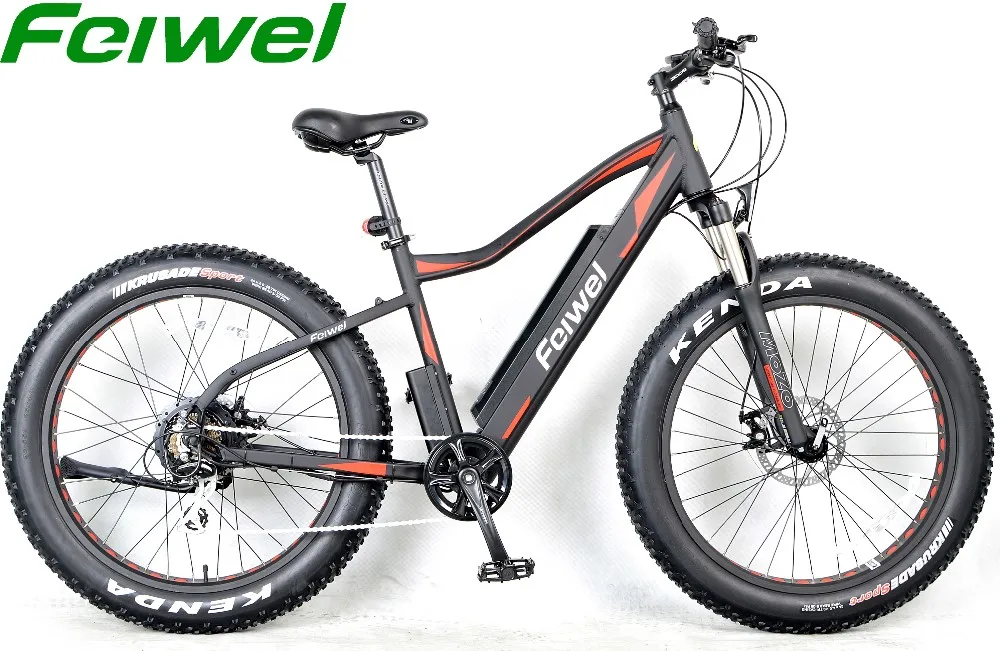 Fat Tire Electric Bike 1000w/big Power Cheap Fat Tire Electric Bicycle