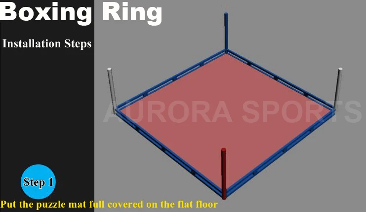PROLAST 20' X 20' Regulation Size Boxing Ring | Pro Fight Shop