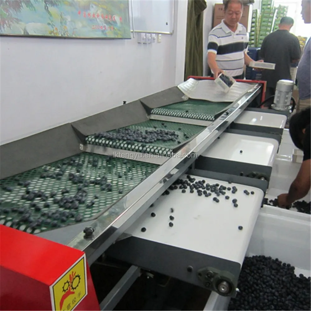 Electronic Coffee Sorting Machine eating in a box trip hawaii 2012 day 6 5 coffee tour after being sorted the beans are shaken for weight heavier get upwards on this shaking machine crappy end up at bottom