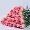 China Dounan Wholesale Fresh Cut Flowers Single Carnations for Morther's Day Giftware