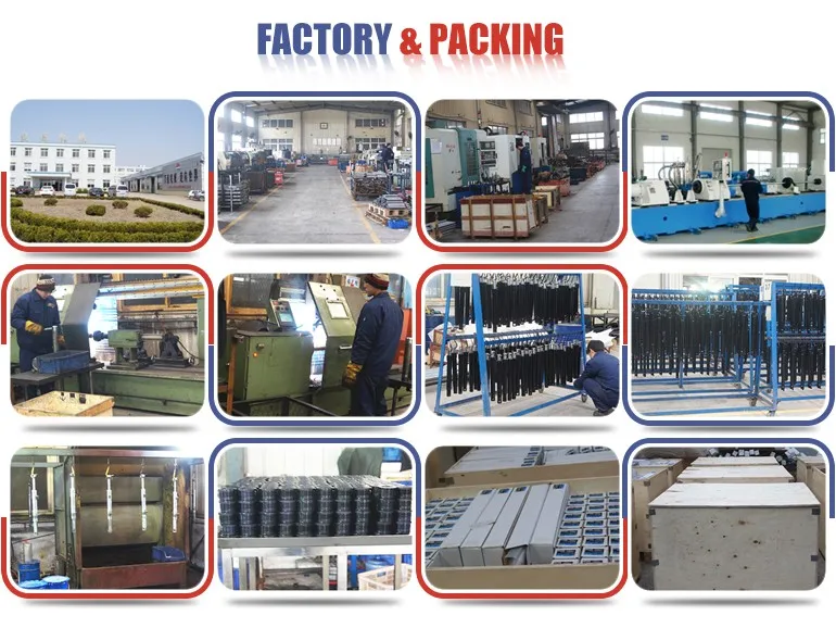 factory and packing.jpg