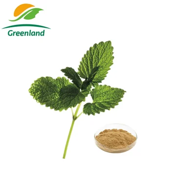 100% Natural Lemon Balm/melissa Officinalis Extract - Buy 1%-3% ...