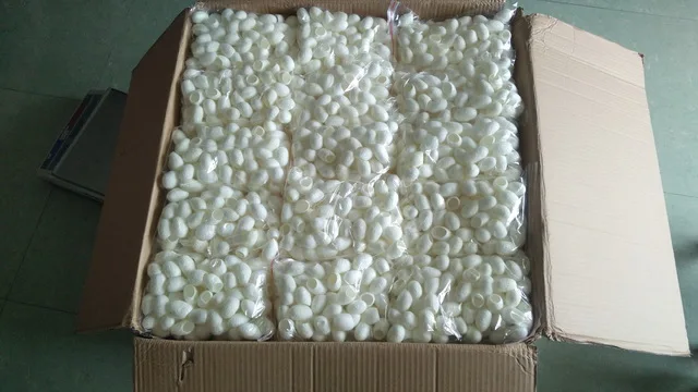 silk factory (1)_.jpg