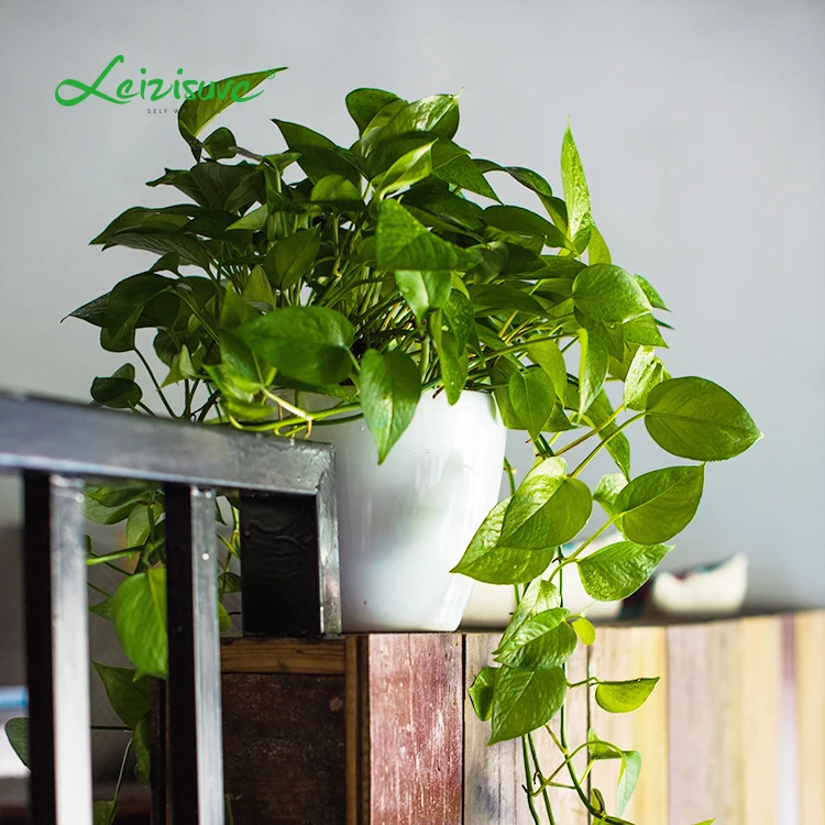 Blanco Maceta para Interiores al Aire Libre Jardines Macetero Redondo Ulikey 6 Pcs Auto Riego Plantador Blanco Ronda Windowsill Planta Decorativa Macetas de Riego Autom/ático