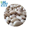 Raw fresh material 25/29 29/33 24/28 blanched peanuts for philippine products and wholesale frozen fruits vegetables