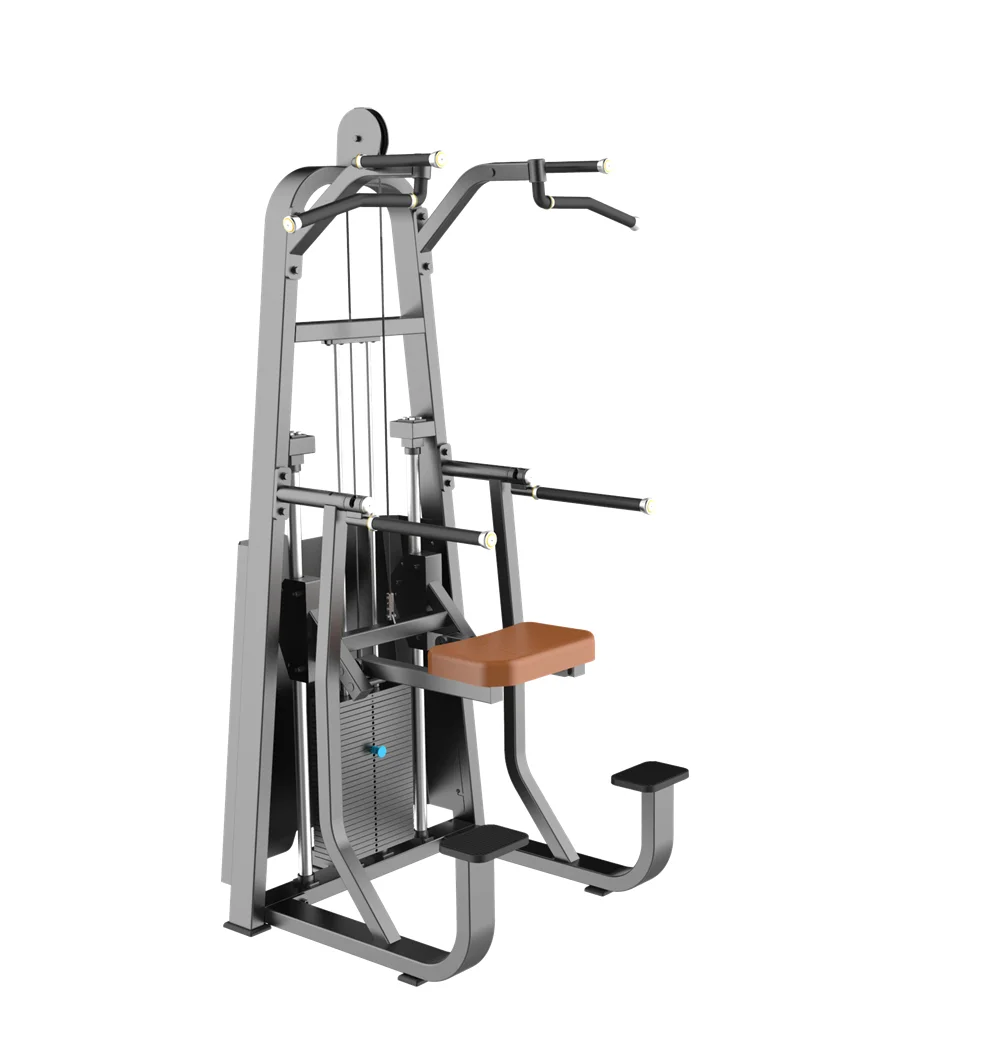 

Best Gym Machine In China Commercial Pin Loaded Dip/Chin Assisted Chin Pull Up Machine for Body Building, Optional