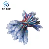 LED string module ws 2811 video wall matrix led wall effect 12mm led module