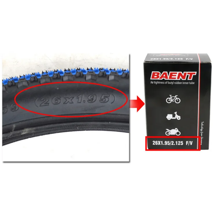  Inner Tube  (5).jpg