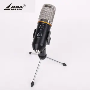 BM 700 Professional Studio Condenser Microphone