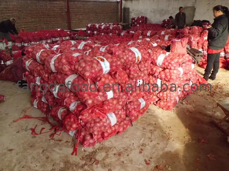 watermark1dd16CIMG1281