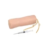 Medical Nursing Durable Injection Infusion Advanced Elbow Venipuncture Training Model