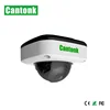 Super Starlight highest night vision 2mp 1080P IP Camera cctv video IP66 ir dome network camera cctv camera ip hidden security