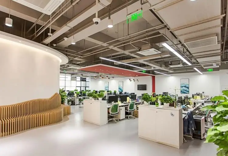 office.jpg